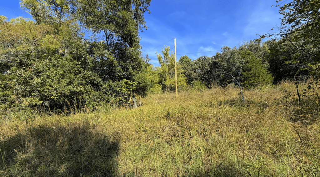 3.81 Acres Wooded with Power in Gated Community for $225/mo! - photo 10
