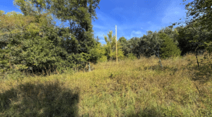 3.8 acre land for sale in Edwards, Missouri - photo 10