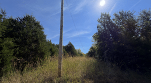 4.23 acre land for sale in Edwards, Missouri - photo 5