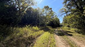 4.23 acre land for sale in Edwards, Missouri - photo 4