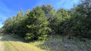 4.23 acre land for sale in Edwards, Missouri - photo 6