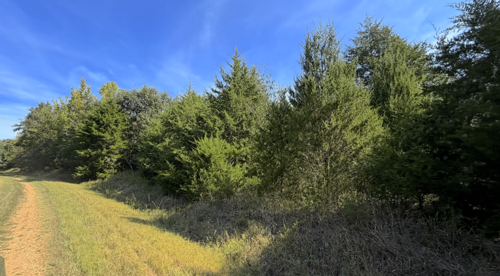 4.23 Acres of Wooded in Forbes Lake of the Ozarks Park for $99 Down - photo 7