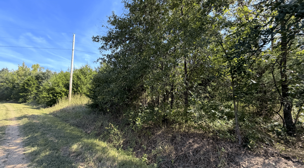 4.23 Acres of Wooded in Forbes Lake of the Ozarks Park for $99 Down - photo 8
