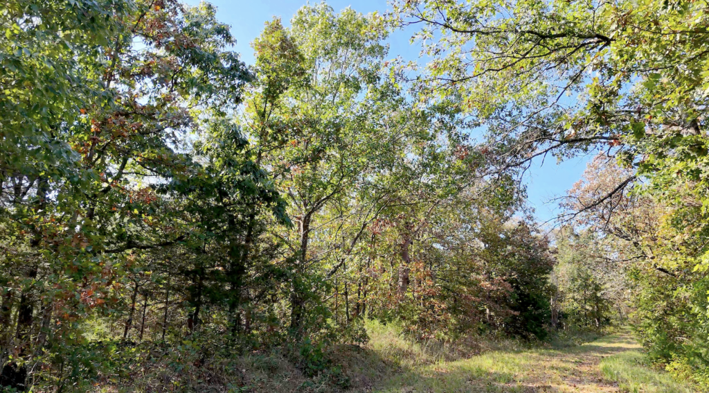 2.8 Acres Gated Land with RV Access & Private Ponds for $125/mo!