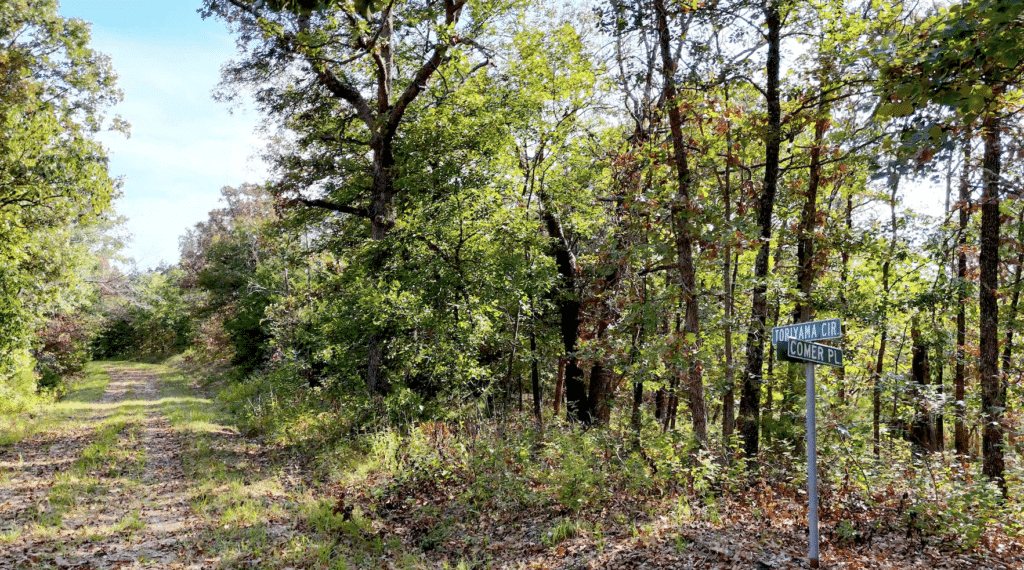 2.8 Acres Gated Land with RV Access & Private Ponds for $125/mo! - photo 2
