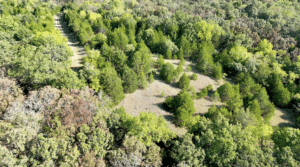 2.8 acre land for sale in Edwards, Missouri - photo 3