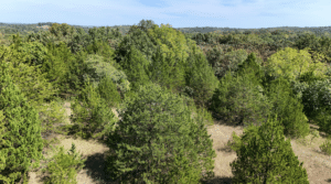 2.8 acre land for sale in Edwards, Missouri - photo 6