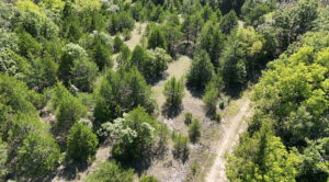 2.8 acre land for sale in Edwards, Missouri - photo 7