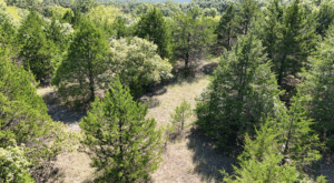 2.8 acre land for sale in Edwards, Missouri - photo 8