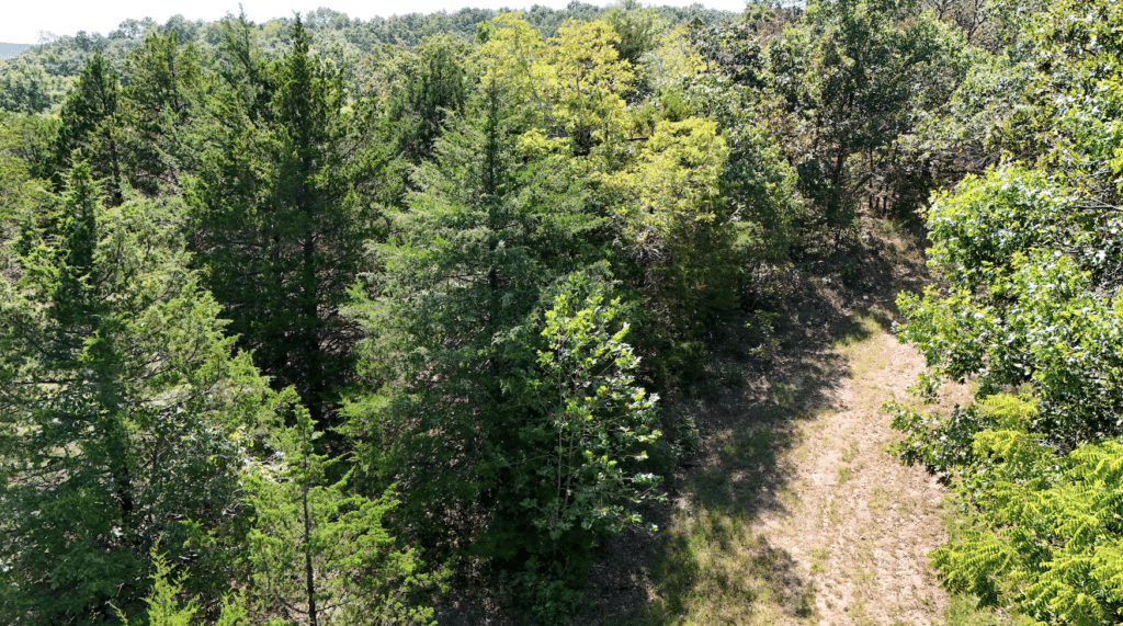 2.8 Acres Gated Land with RV Access & Private Ponds for $125/mo! - photo 10