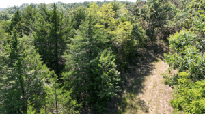 2.8 acre land for sale in Edwards, Missouri - photo 10