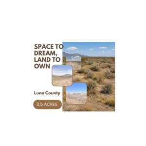 0.50 acre land for sale in Deming, New Mexico - photo 1