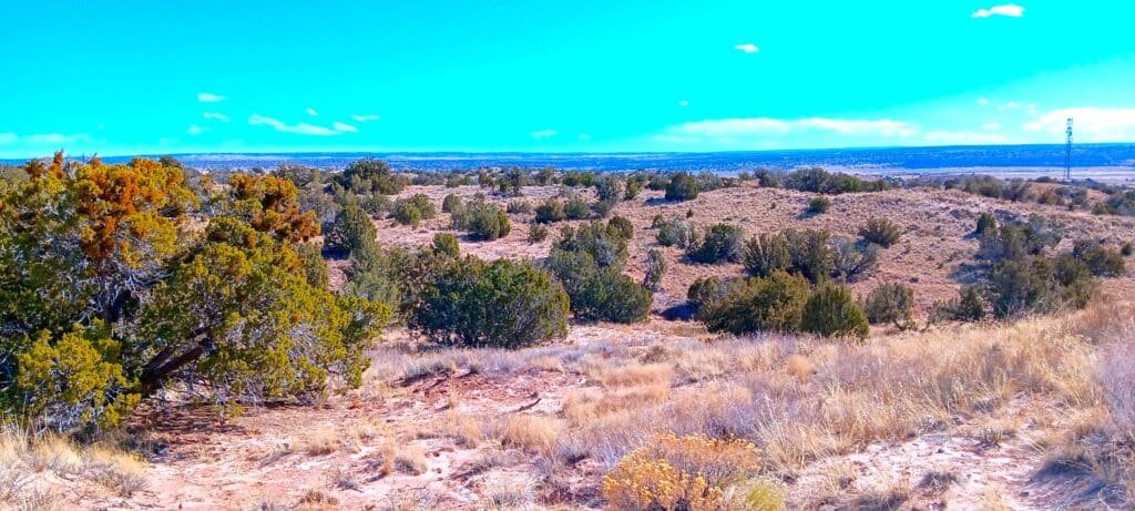 Unrestricted 2 Acres to Build, Camp, & Mobile Home for $99 Down! - photo 6