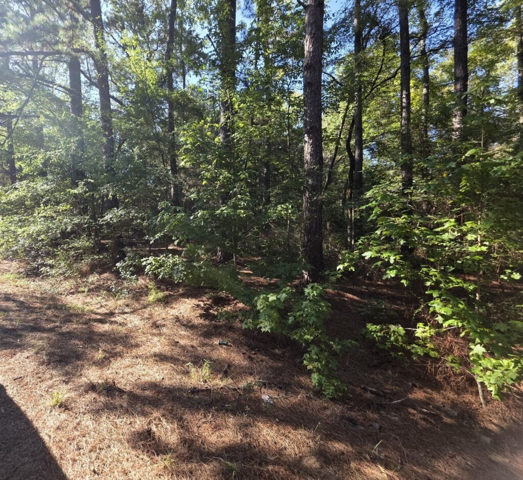 0.22 Acres in Cherokee County, Texas – Bullard, Owner Financed - photo 2
