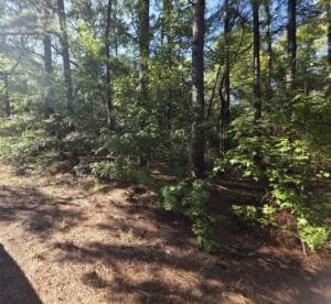 0.22 acre land for sale in Bullard, Texas - photo 2