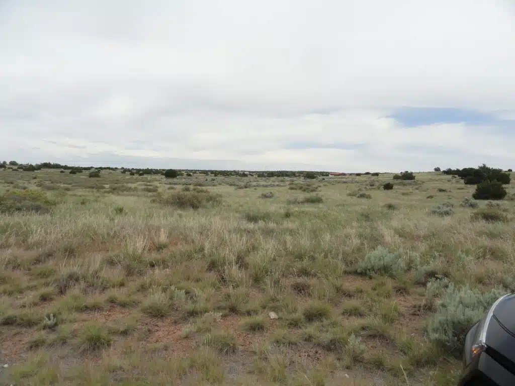 Off Grid in City Limits, Perfect Time to Buy - photo 5
