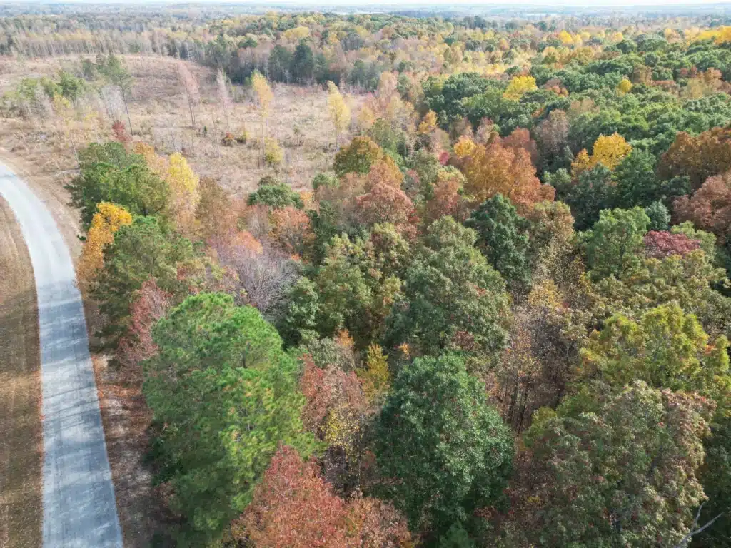 7.5 Acres — Carnal Rd, Huntingdon — $1,000 Down