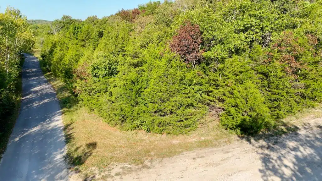 3.81 Acres Wooded with Power in Gated Community for $225/mo!