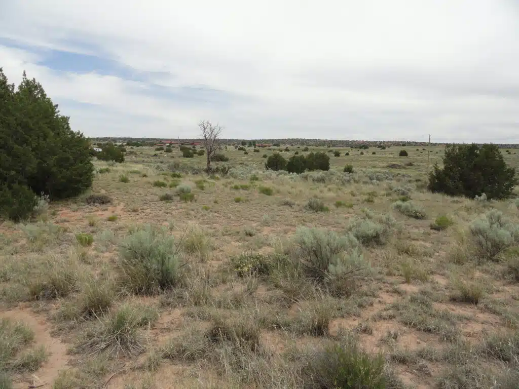 Off Grid in City Limits, Perfect Time to Buy