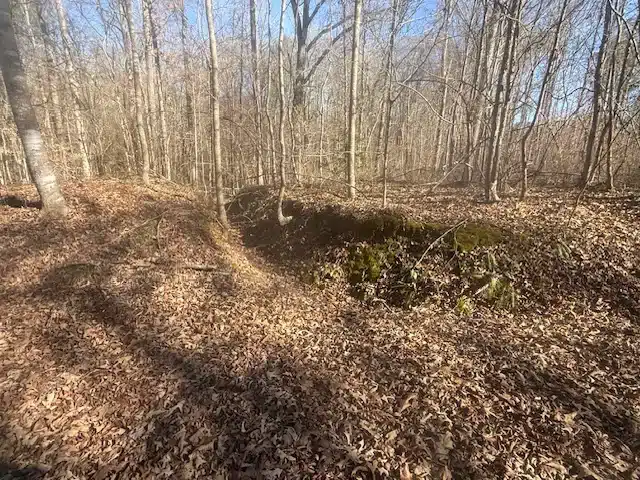 8.92 Acres — George Walter Rd, Bolivar — $1,000 Down