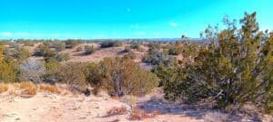 2 acre land for sale in Sanders, Arizona - photo 9
