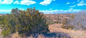 2 acre land for sale in Sanders, Arizona - photo 10