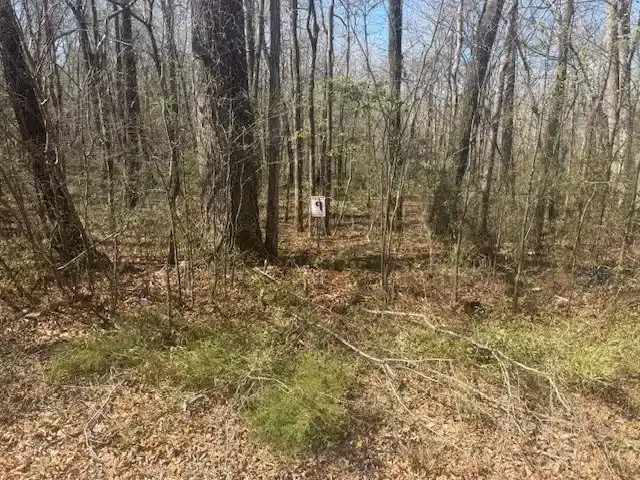 13.42 Wooded Acres — Hwy 22A, Jacks Creek — $1,000 Down