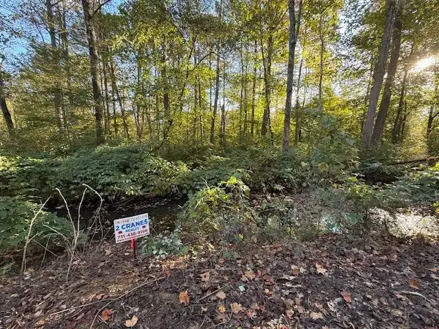 14.5 Wooded Acres — Overton Loop Tract 1 — $1,000 Down