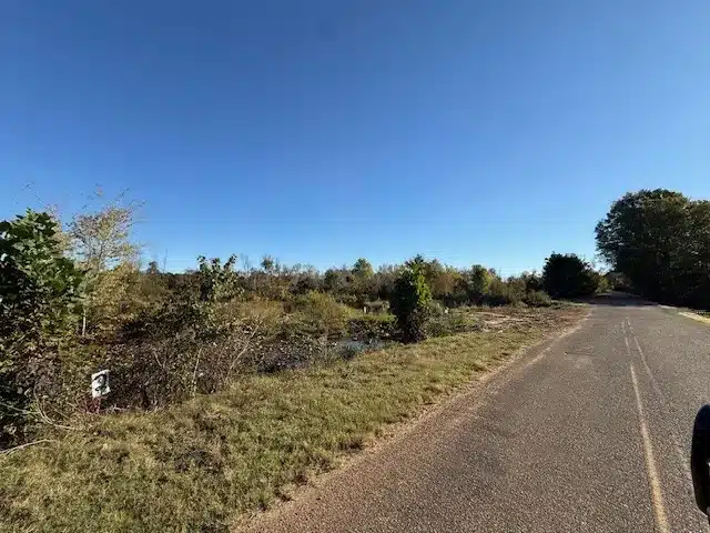 12 Acres with Pond Views — Overton Loop Tract 2 — $1,000 Down