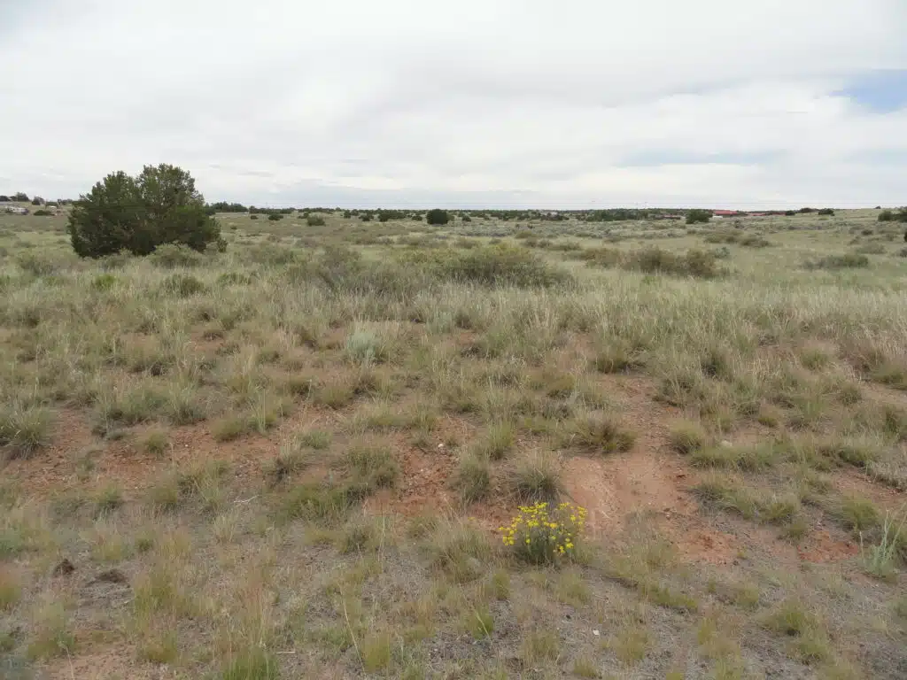 Off Grid in City Limits, Perfect Time to Buy - photo 8
