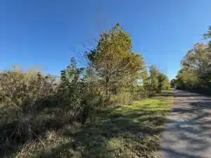 13.1 acre land for sale in Hardeman County, Tennessee - photo 3