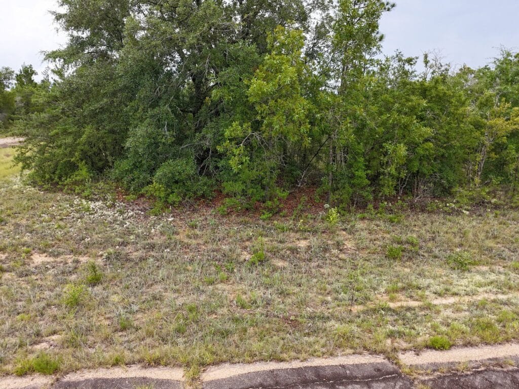 0.23-Acre Wooded Lot in Chipley, Florida — Just $179/mo Owner Financing - photo 2