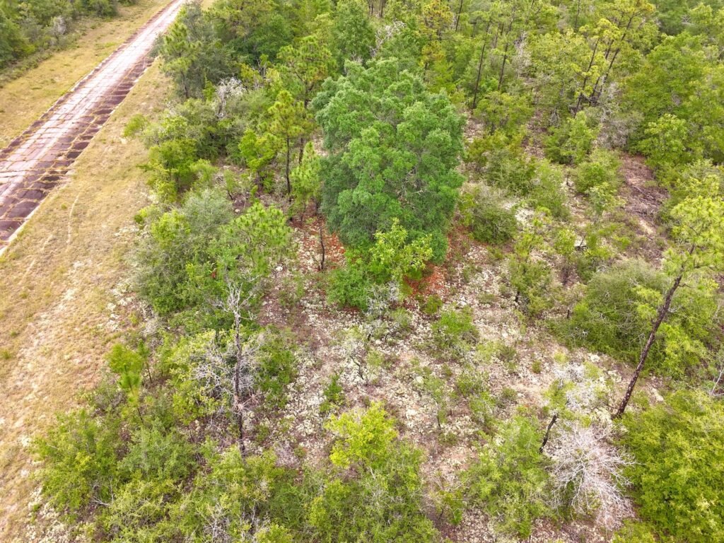 0.23-Acre Wooded Lot in Chipley, Florida — Just $179/mo Owner Financing