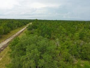 0.23 acre land for sale in Chipley, Florida - photo 4