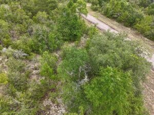 0.23 acre land for sale in Chipley, Florida - photo 5