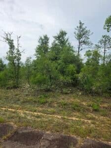 0.23 acre land for sale in Chipley, Florida - photo 6