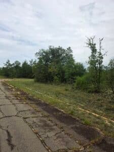 0.23 acre land for sale in Chipley, Florida - photo 7