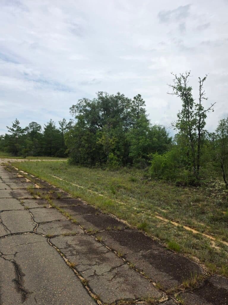 0.23-Acre Wooded Lot in Chipley, Florida — Just $179/mo Owner Financing - photo 7