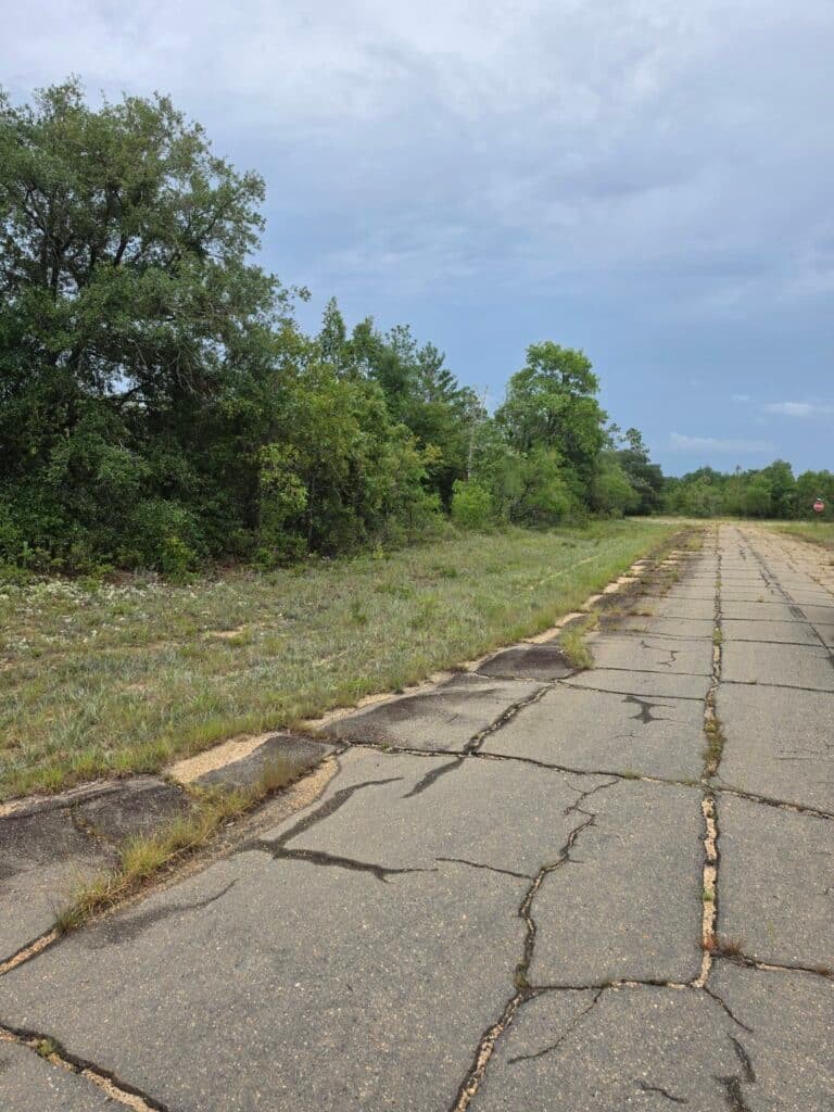 0.23-Acre Wooded Lot in Chipley, Florida — Just $179/mo Owner Financing - photo 8