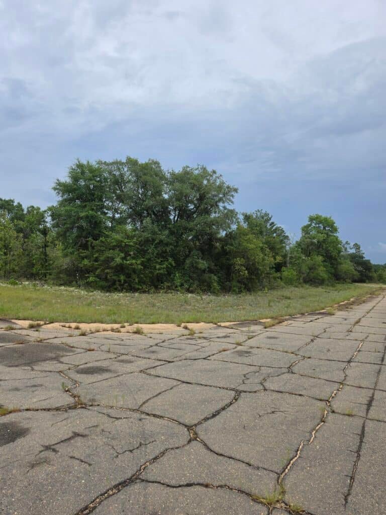 0.23-Acre Wooded Lot in Chipley, Florida — Just $179/mo Owner Financing - photo 9